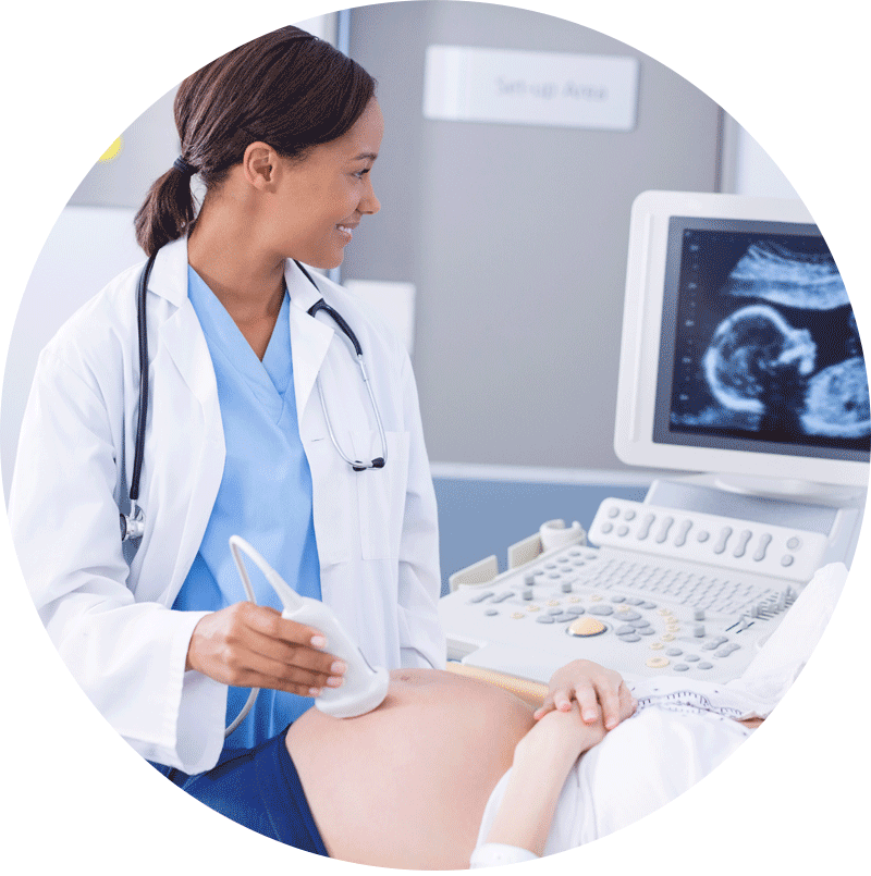 Ob Gyn Sonography Esp Ultrasound